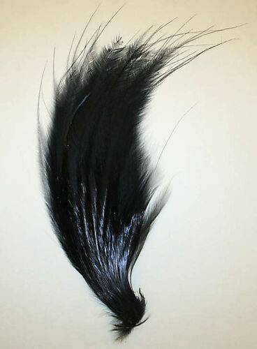 Feather