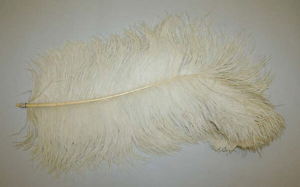 Feather