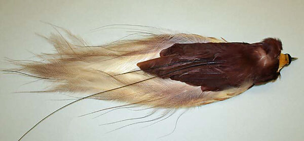 Feather, feathers, American 