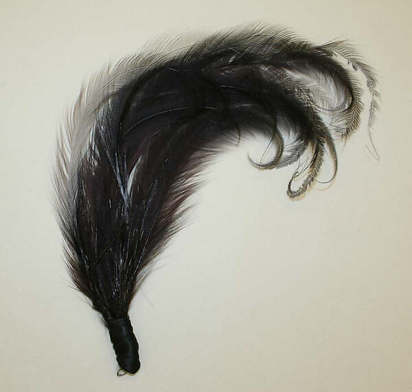 Feather, feathers, American 