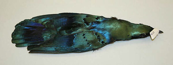 Ornament, feathers, bone, probably French 