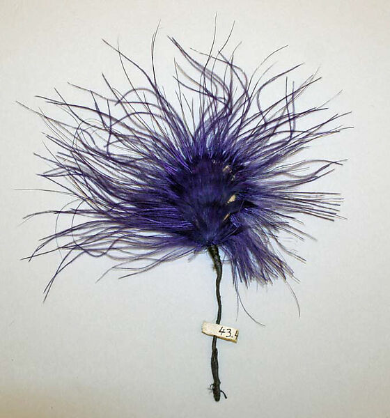 Hair accessory, feather, American 