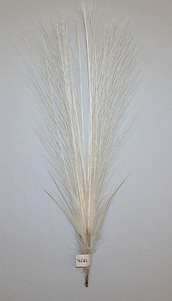 Aigrette, feathers, American or European 