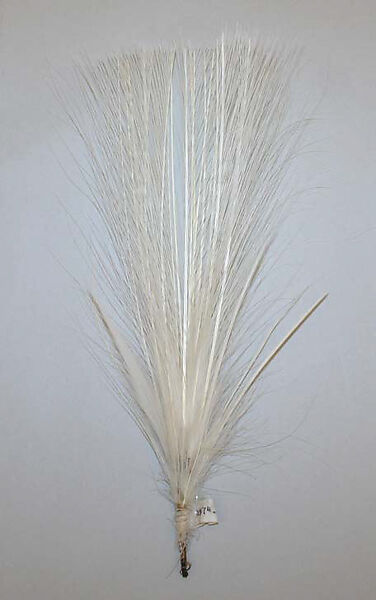 Aigrette, feathers, American or European 