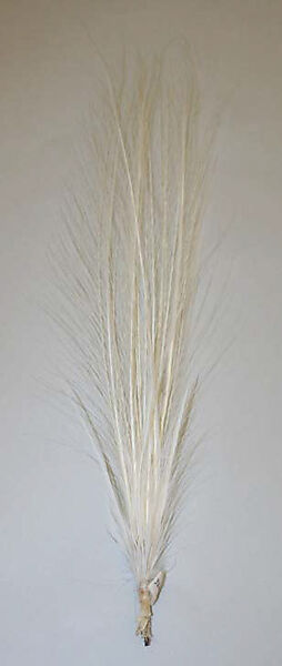 Aigrette, feathers, American or European 