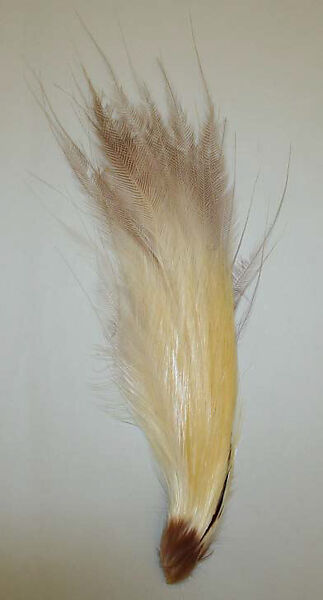 Aigrette, feathers, American or European