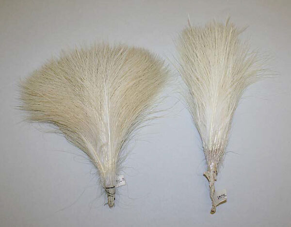 Aigrette, feathers, American or European 