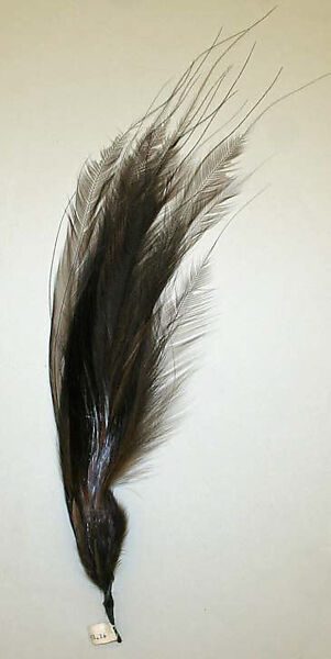 Aigrette, feathers, American or European 