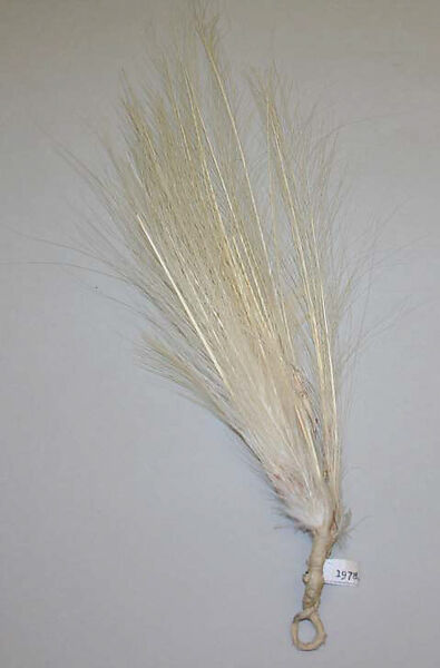 Aigrette, feather, American or European 