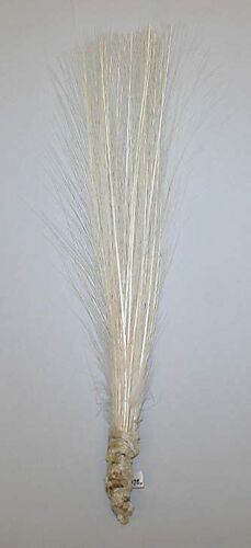 Aigrette