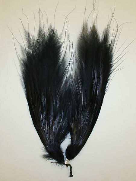 Aigrette, feathers, European 