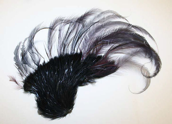 Aigrette, feathers, European 