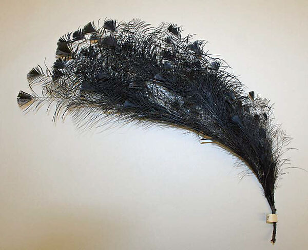 Aigrette, feathers, probably American 