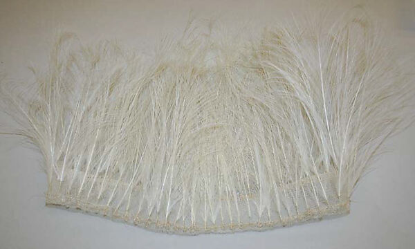 Aigrette, feathers, American 