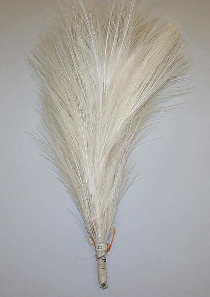 Aigrette, feathers, American 