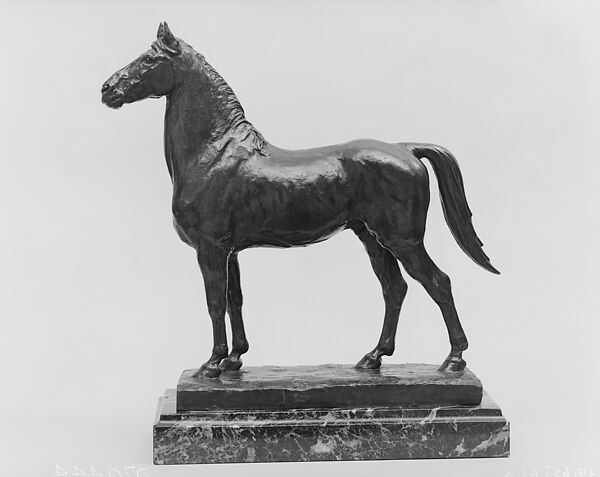 Morgan Stallion, Alexander Phimister Proctor (American, Bosanquet, Ontario 1860–1950 Palo Alto, California), Bronze, American 