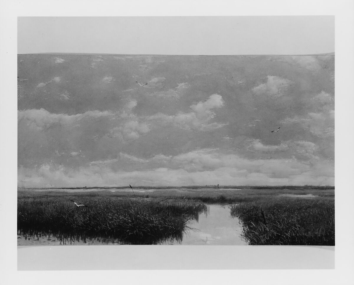 Marsh Grass, Milne Ramsey (1846–1915), Watercolor, white, and graphite on paper, American