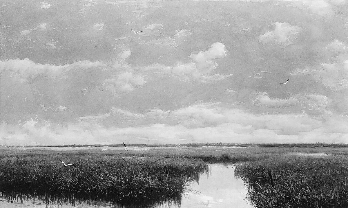 Marsh Grass, Milne Ramsey (1846–1915), Watercolor, white, and graphite on paper, American 