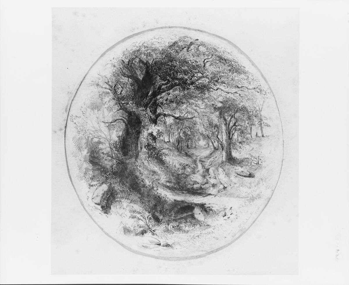 Interior of Woods with Small Stream (from Cropsey Album), William Trost Richards (American, Philadelphia, Pennsylvania 1833–1905 Newport, Rhode Island), Graphite on off-white wove paper, American