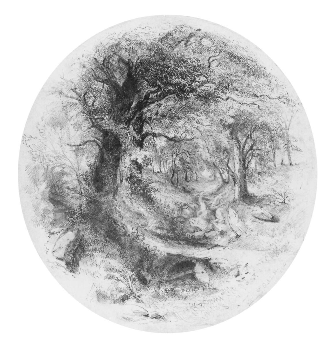 Interior of Woods with Small Stream (from Cropsey Album), William Trost Richards (American, Philadelphia, Pennsylvania 1833–1905 Newport, Rhode Island), Graphite on off-white wove paper, American 