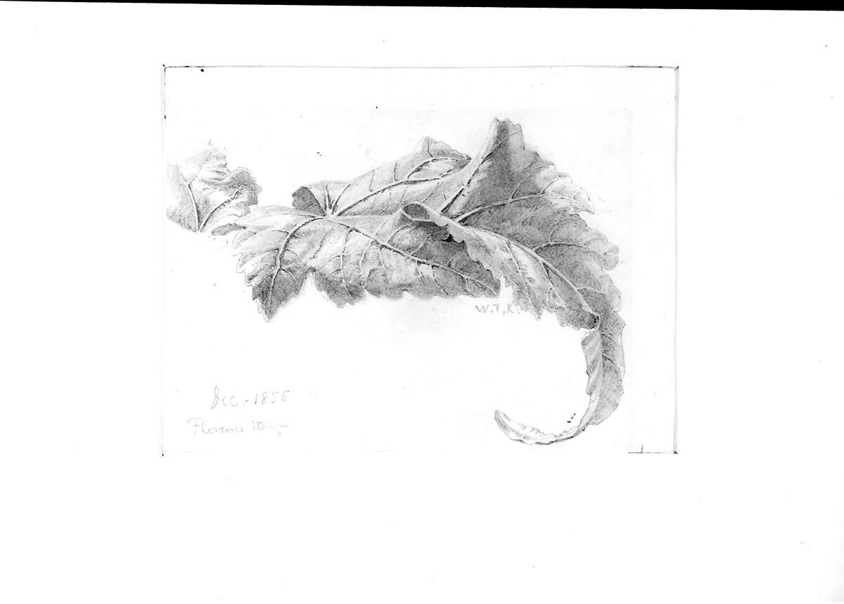 Leaves, William Trost Richards (American, Philadelphia, Pennsylvania 1833–1905 Newport, Rhode Island), Graphite on off-white wove paper, American