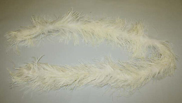 Boa, feathers, American or European 