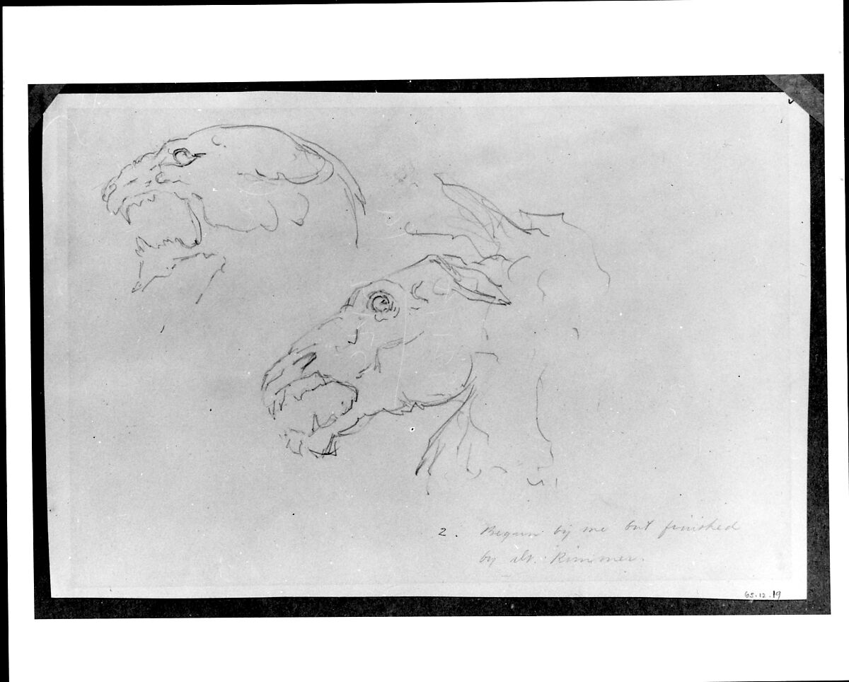 Sketches of Two Animal Skulls, William Rimmer (American (born England), Liverpool 1816–1879 South Milford, Massachusetts), Graphite on light buff-colored wove paper, American