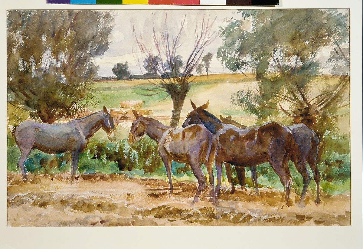 Mules, John Singer Sargent (American, Florence 1856–1925 London), Watercolor, graphite, and wax crayon on off-white wove paper, American