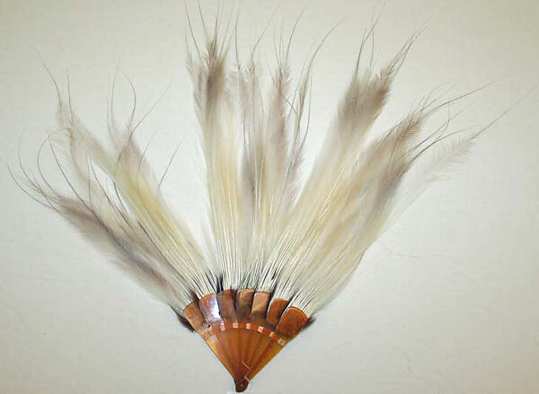 Fan, feathers, tortoiseshell, American or European 