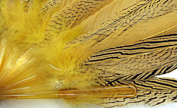Fan, feathers, plastic, American or European