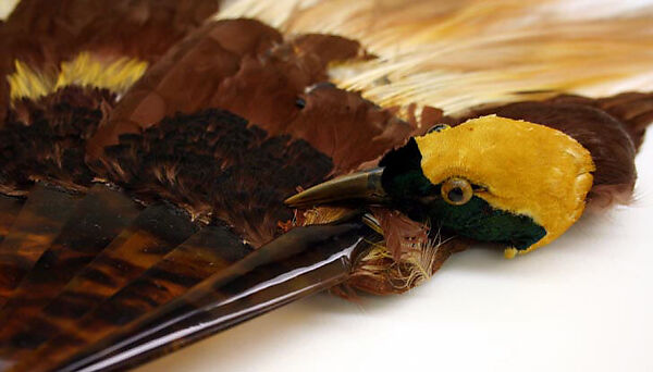 Fan, Duvelleroy (French, founded 1827), feathers, shell, French