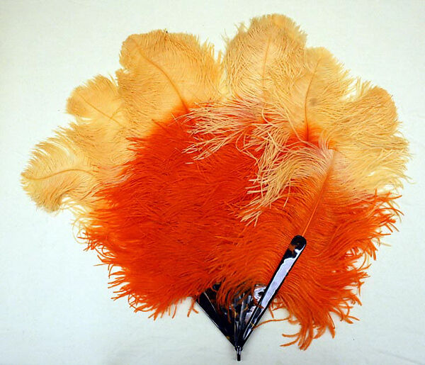 Fan, ostrich, probably European 