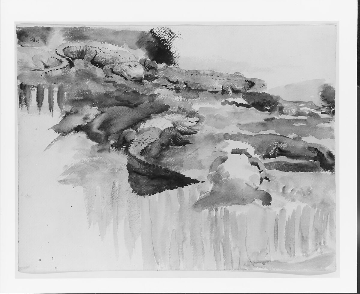 Alligators, John Singer Sargent (American, Florence 1856–1925 London), Watercolor, graphite, and wax crayon on white wove paper, American