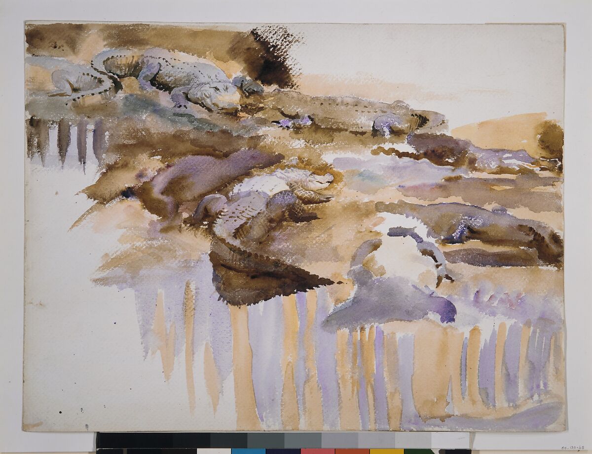 Alligators, John Singer Sargent (American, Florence 1856–1925 London), Watercolor, graphite, and wax crayon on white wove paper, American