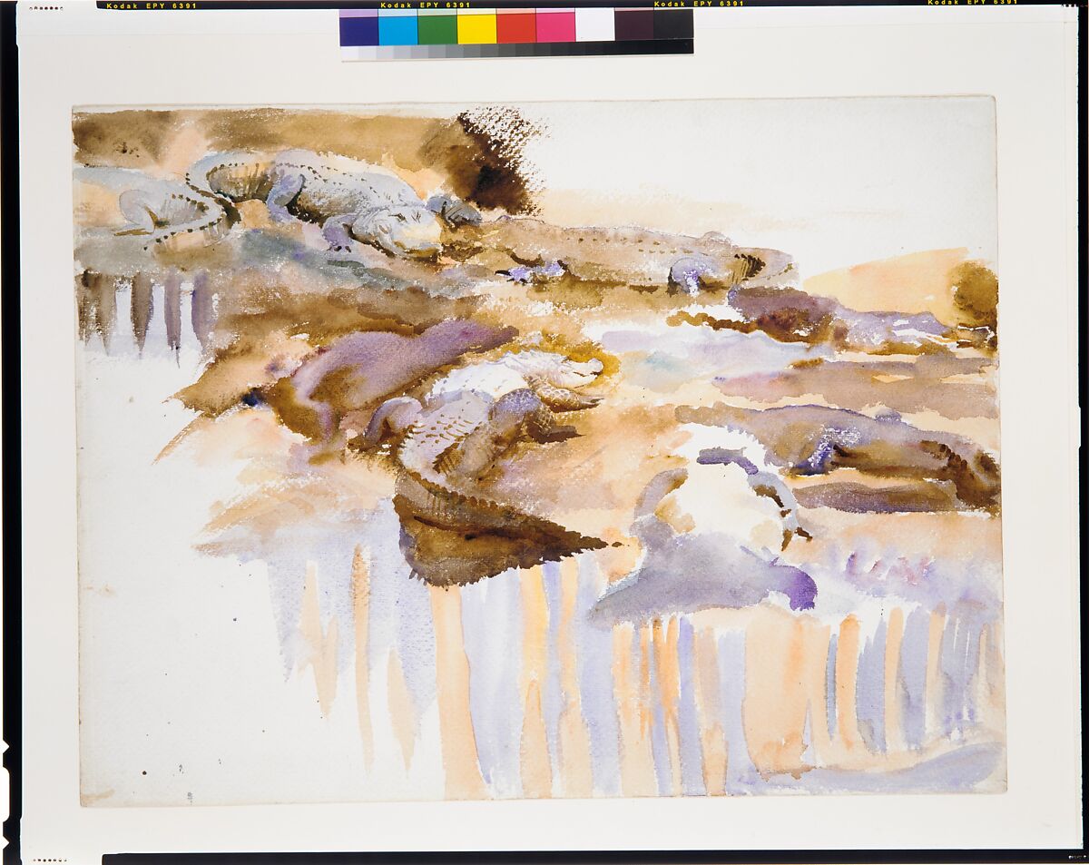 Alligators, John Singer Sargent (American, Florence 1856–1925 London), Watercolor, graphite, and wax crayon on white wove paper, American