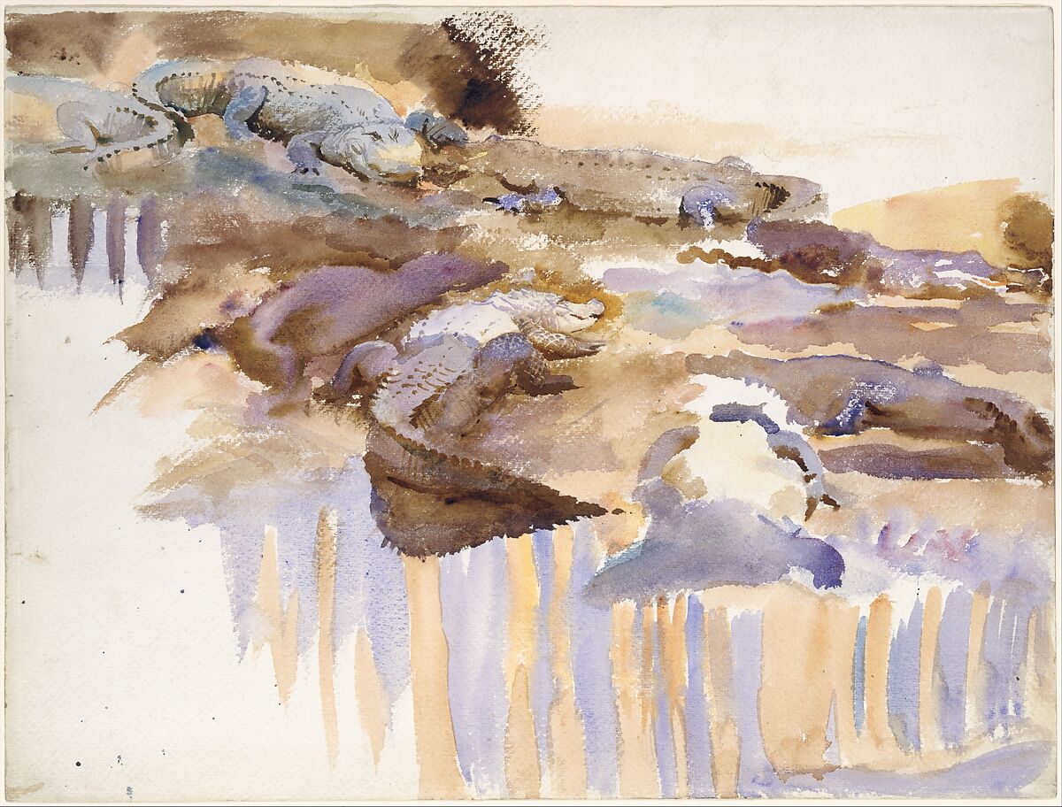 Alligators, John Singer Sargent (American, Florence 1856–1925 London), Watercolor, graphite, and wax crayon on white wove paper, American
