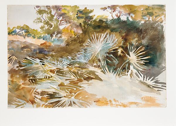 Landscape with Palmettos, John Singer Sargent (American, Florence 1856–1925 London), Watercolor and graphite on white wove paper, American 