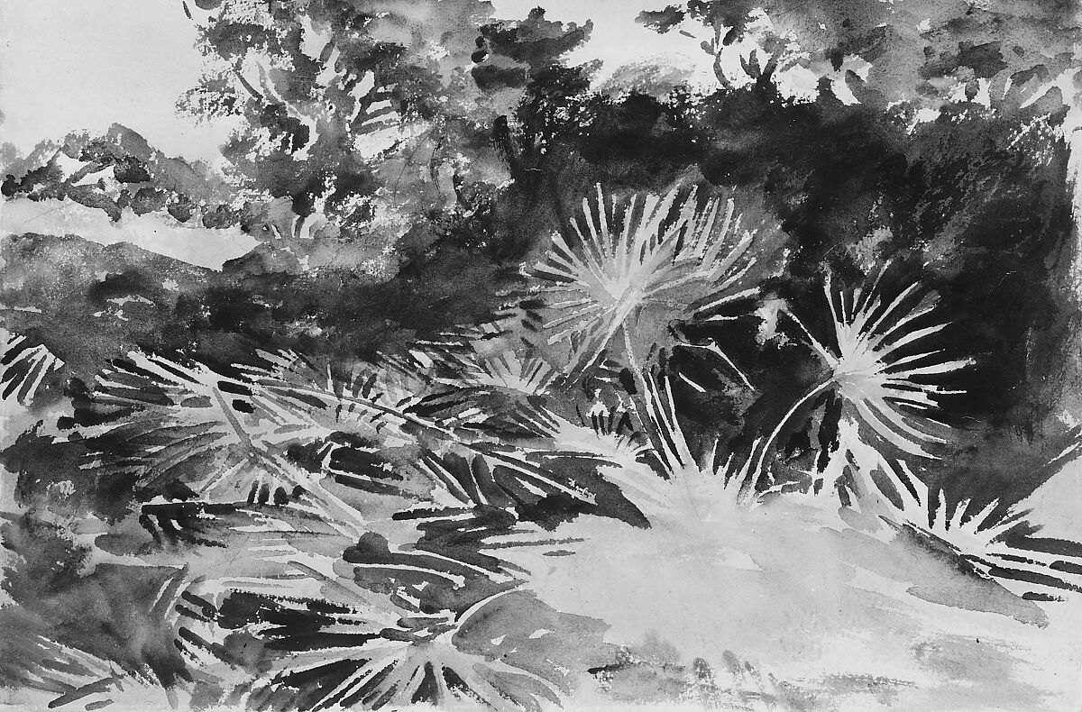 Landscape with Palmettos, John Singer Sargent (American, Florence 1856–1925 London), Watercolor and graphite on white wove paper, American