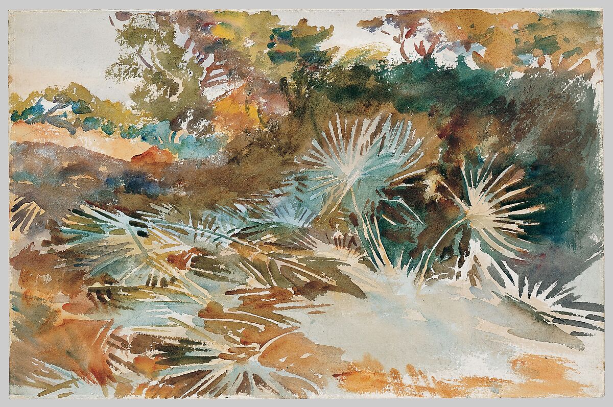 Landscape with Palmettos, John Singer Sargent (American, Florence 1856–1925 London), Watercolor and graphite on white wove paper, American