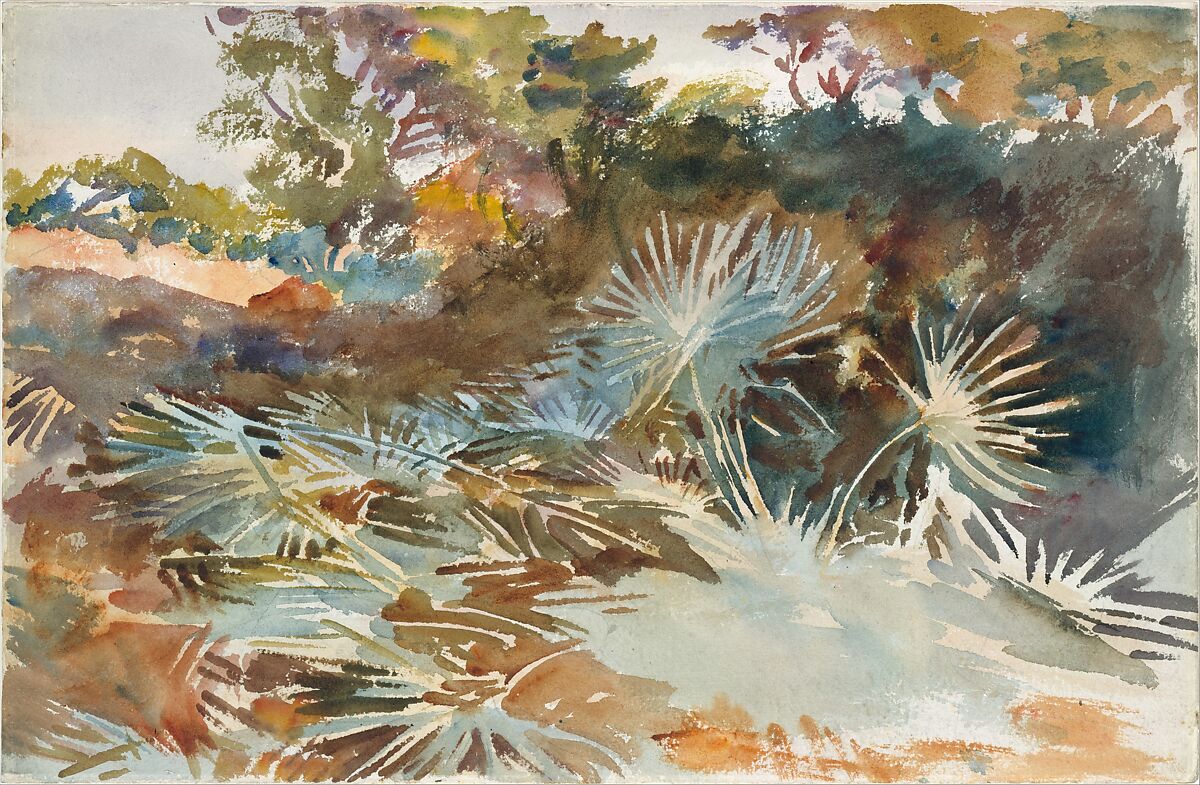 Landscape with Palmettos, John Singer Sargent (American, Florence 1856–1925 London), Watercolor and graphite on white wove paper, American