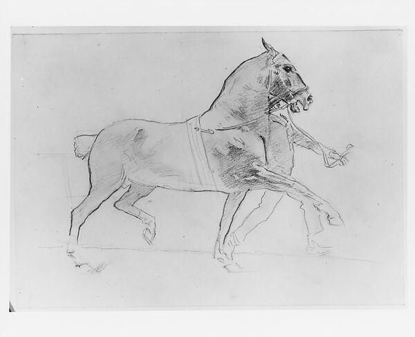 Man Leading Horse, John Singer Sargent (American, Florence 1856–1925 London), Graphite on off-white wove paper, American