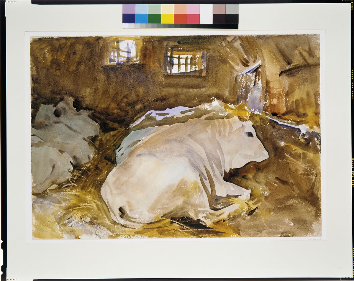 Oxen, John Singer Sargent (American, Florence 1856–1925 London), Watercolor, graphite, and wax crayon on white wove paper, American