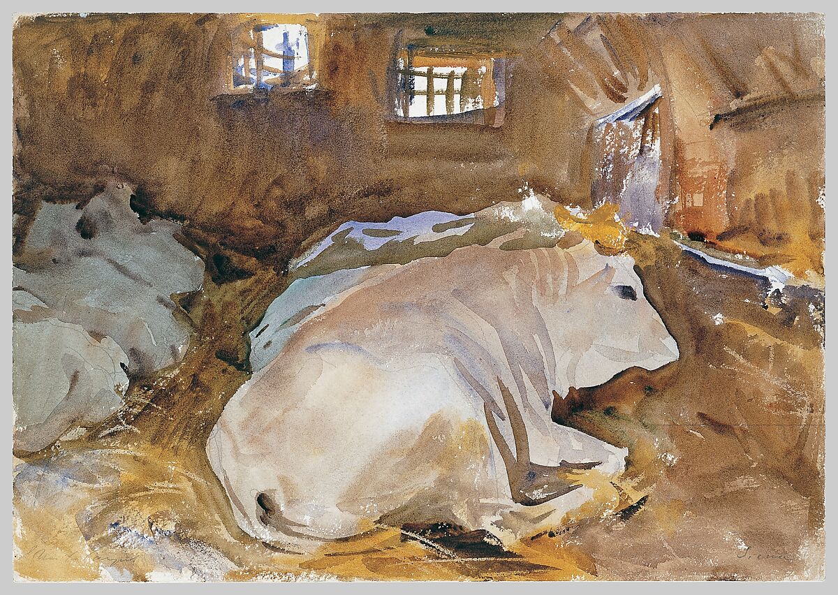 Oxen, John Singer Sargent (American, Florence 1856–1925 London), Watercolor, graphite, and wax crayon on white wove paper, American