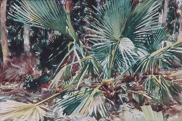 Palmettos, John Singer Sargent (American, Florence 1856–1925 London), Watercolor, graphite, and wax crayon on white wove paper, American 