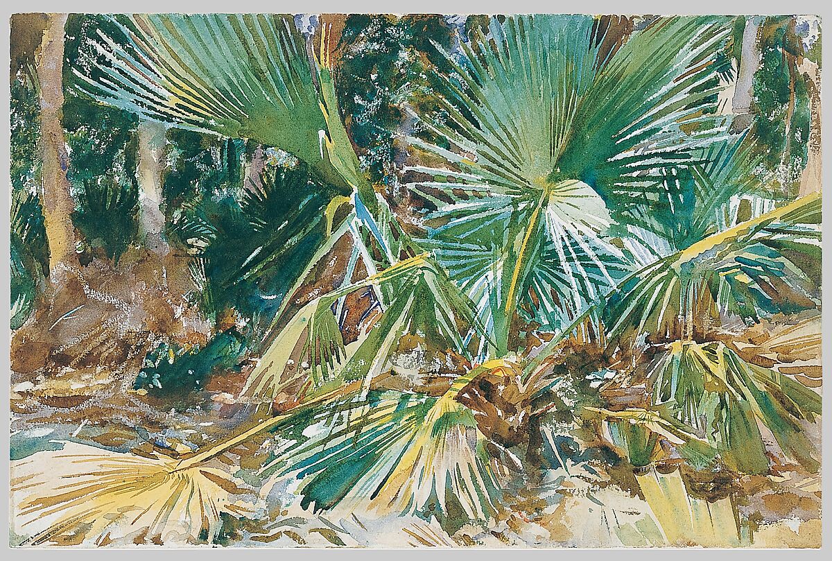 Palmettos, John Singer Sargent (American, Florence 1856–1925 London), Watercolor, graphite, and wax crayon on white wove paper, American