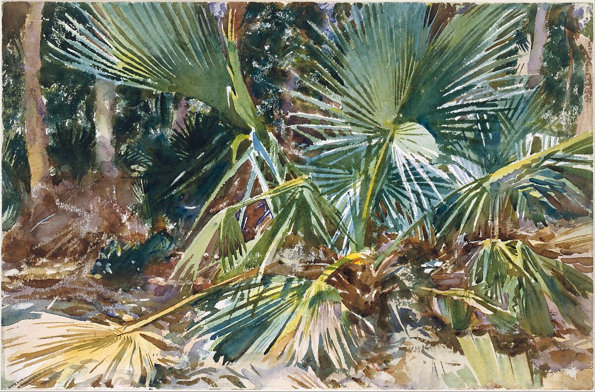 Palmettos, John Singer Sargent (American, Florence 1856–1925 London), Watercolor, graphite, and wax crayon on white wove paper, American