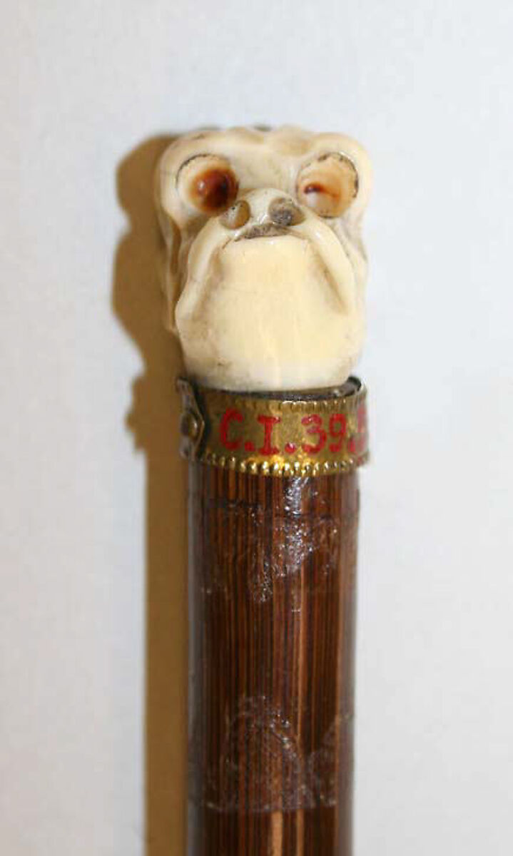 Cane, ivory, American