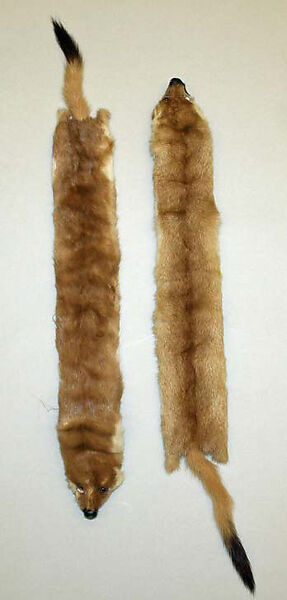 Trimming, fur, American or European 