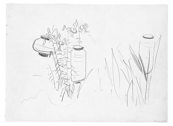 Lily, Study for "Carnation, Lily, Lily, Rose", John Singer Sargent (American, Florence 1856–1925 London), Graphite on off-white wove paper, American