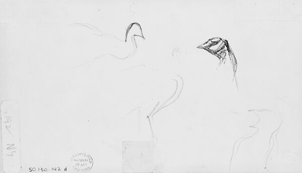 Peacocks, John Singer Sargent (American, Florence 1856–1925 London), Graphite on off-white wove paper, American 